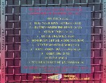 [Back of 'Young & Wild']